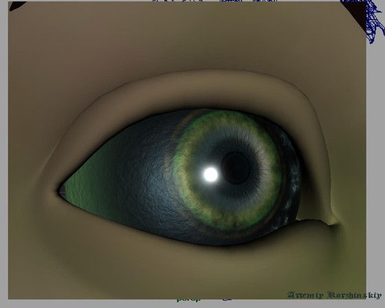 Модели: Meduza Gargona